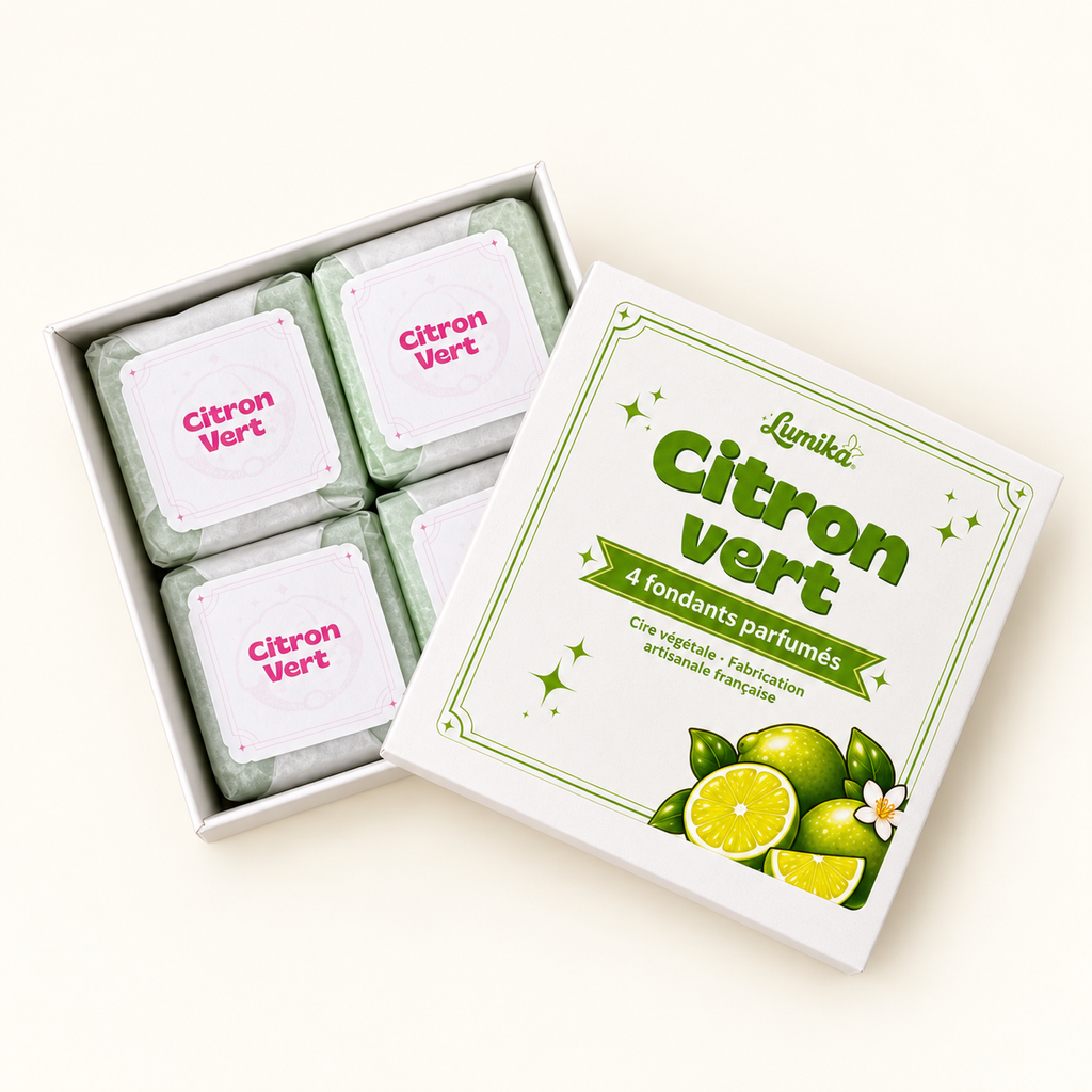 Citron Vert — Boîte de 4 cubes parfumés
