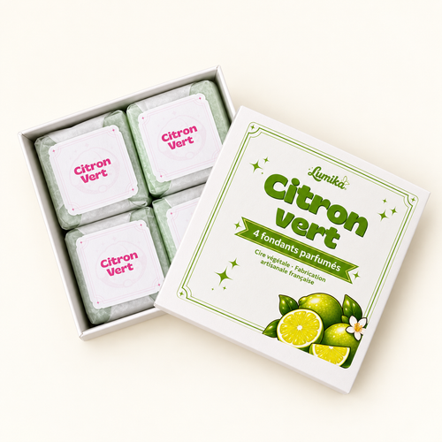 Citron Vert — Boîte de 4 cubes parfumés
