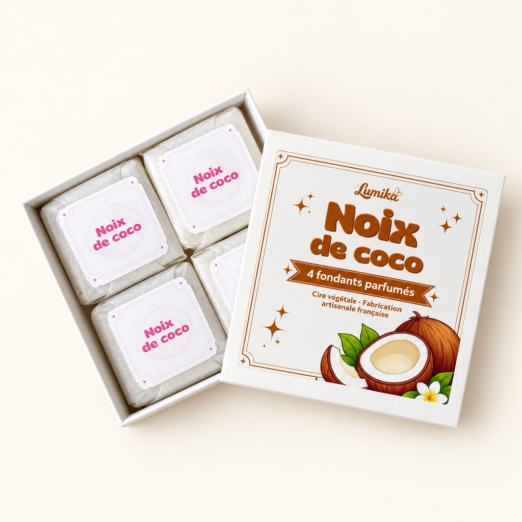 Noix de Coco — Boîte de 4 cubes parfumés